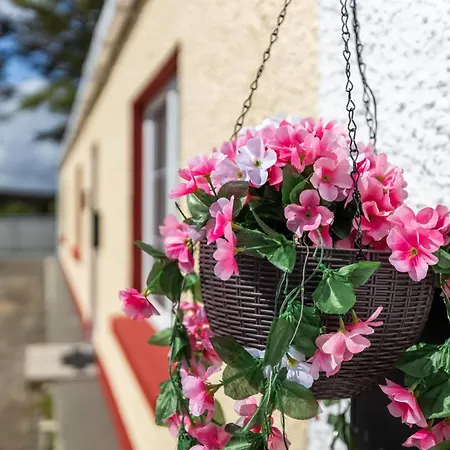 Charlie's Termon